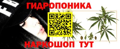 круглые Ставрополь